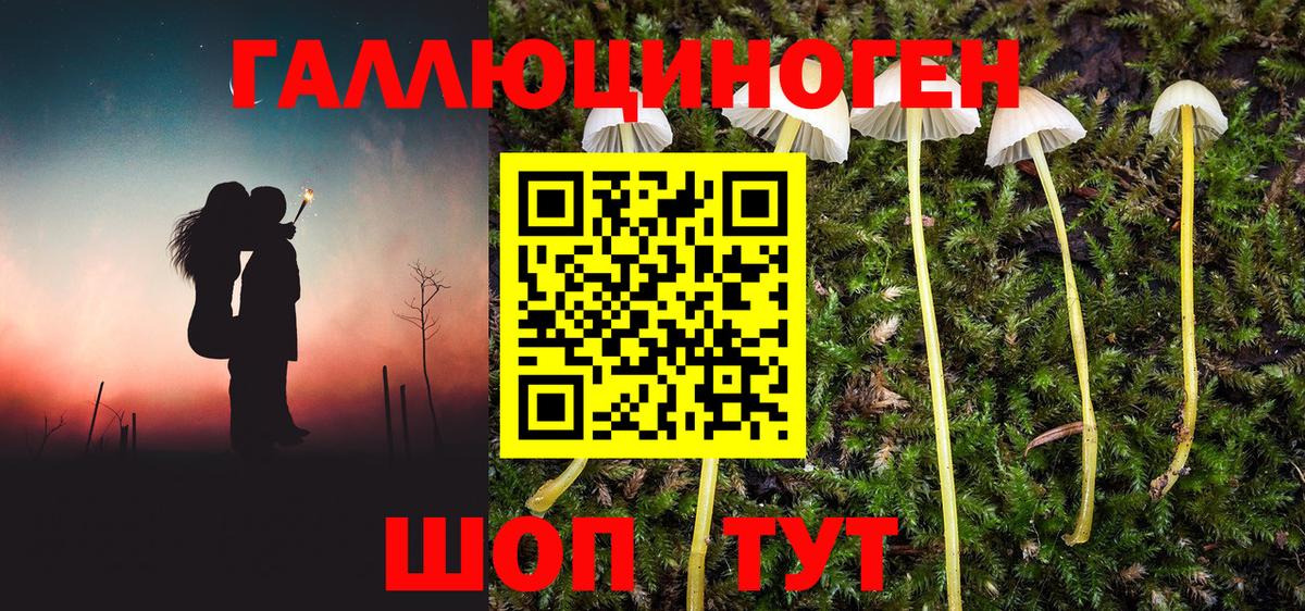Галлюциногенные грибы прущие грибы Моршанск
