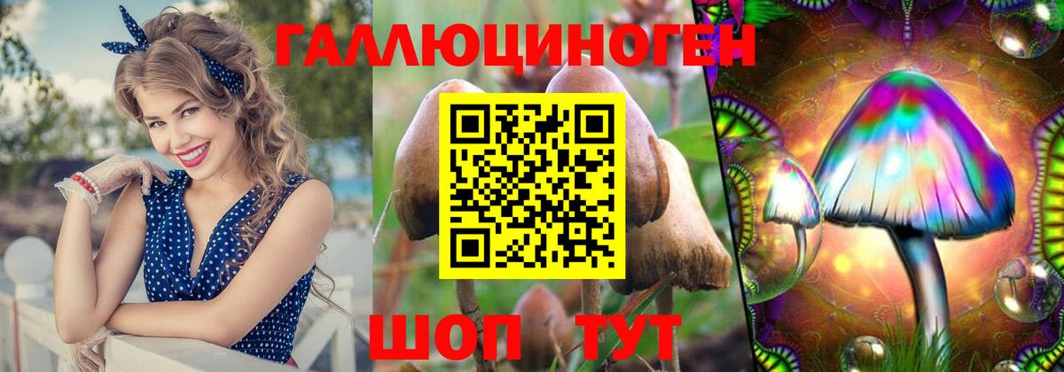 Моршанск  Псилоцибиновые грибы Psilocybine cubensis  Псилоцибиновые грибы Psilocybine cubensis  Вход с VPN 